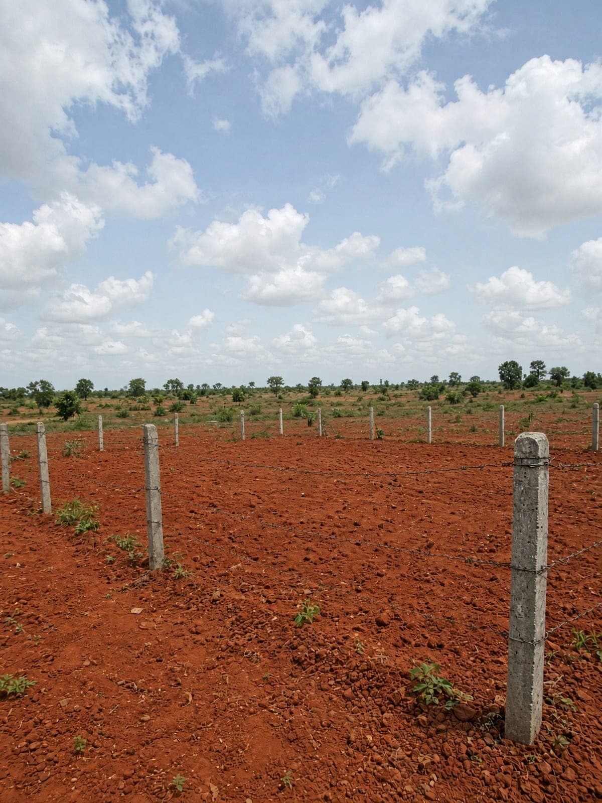 Land & plots