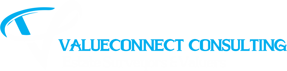 valueconnect logo white